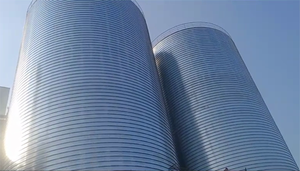 聊城2座混凝土高架卷板仓